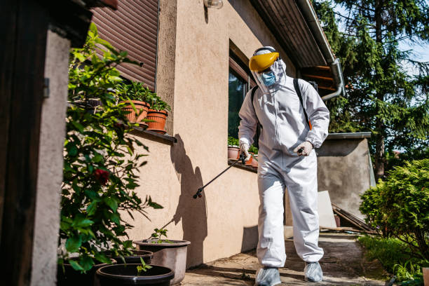 Best Local Pest Control Services  in Canonsburg, PA