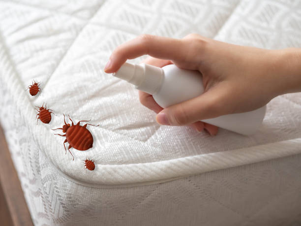 Pest Control for Restaurants in Canonsburg, PA