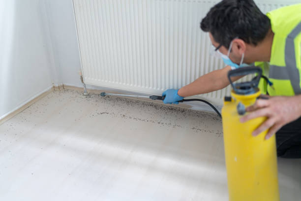 Pest Control Cost in Canonsburg, PA